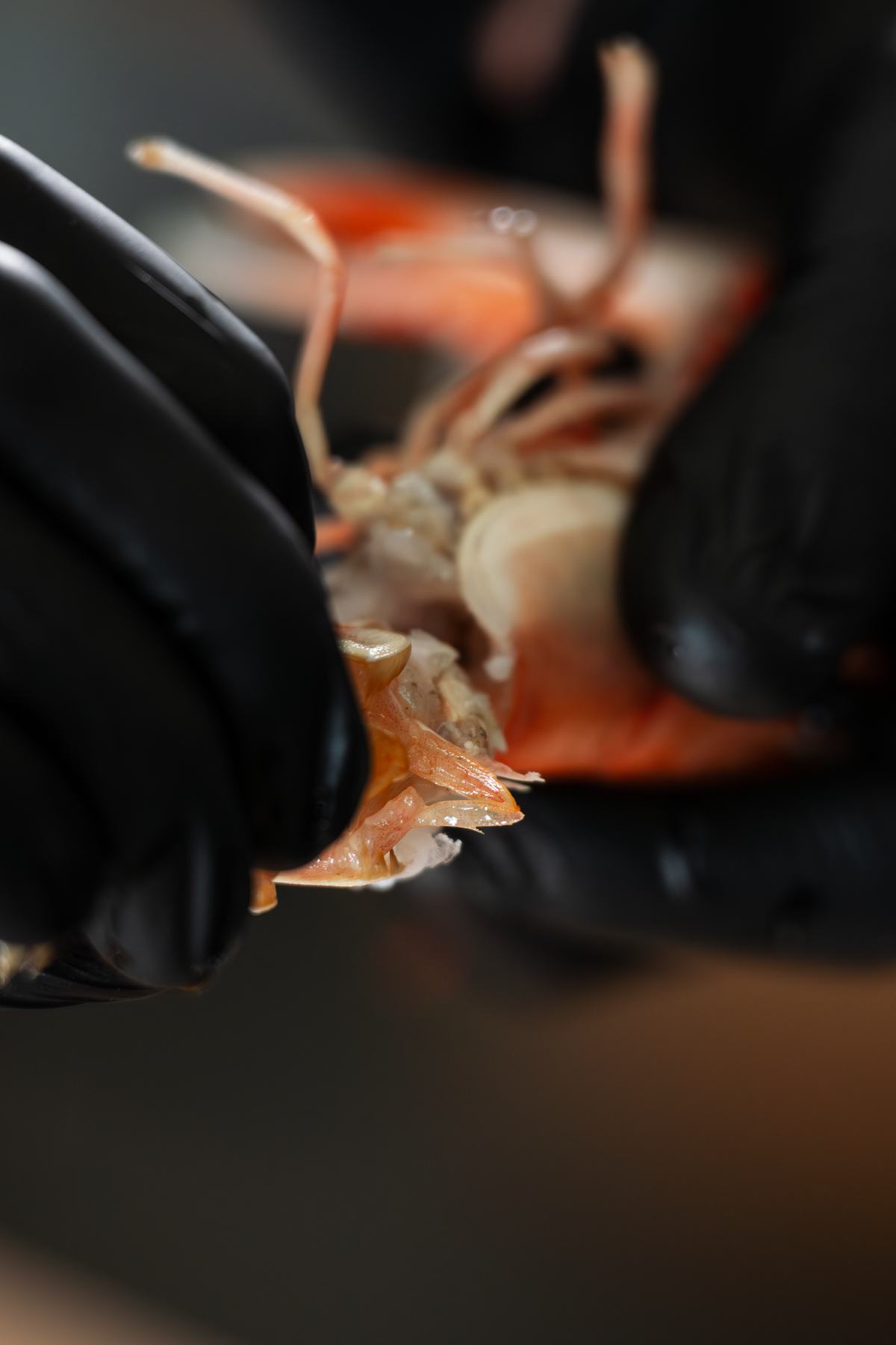 food detail