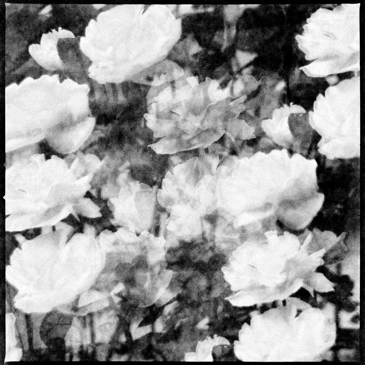 analogue detail